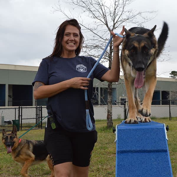 The Dog Academy campus facility