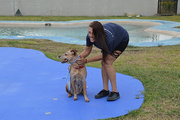 The Dog Academy campus facility