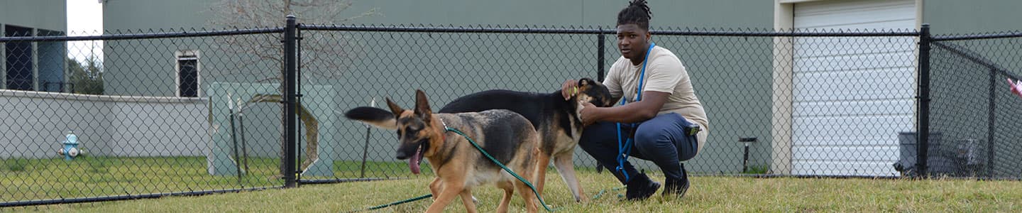 The Dog Academy campus facility