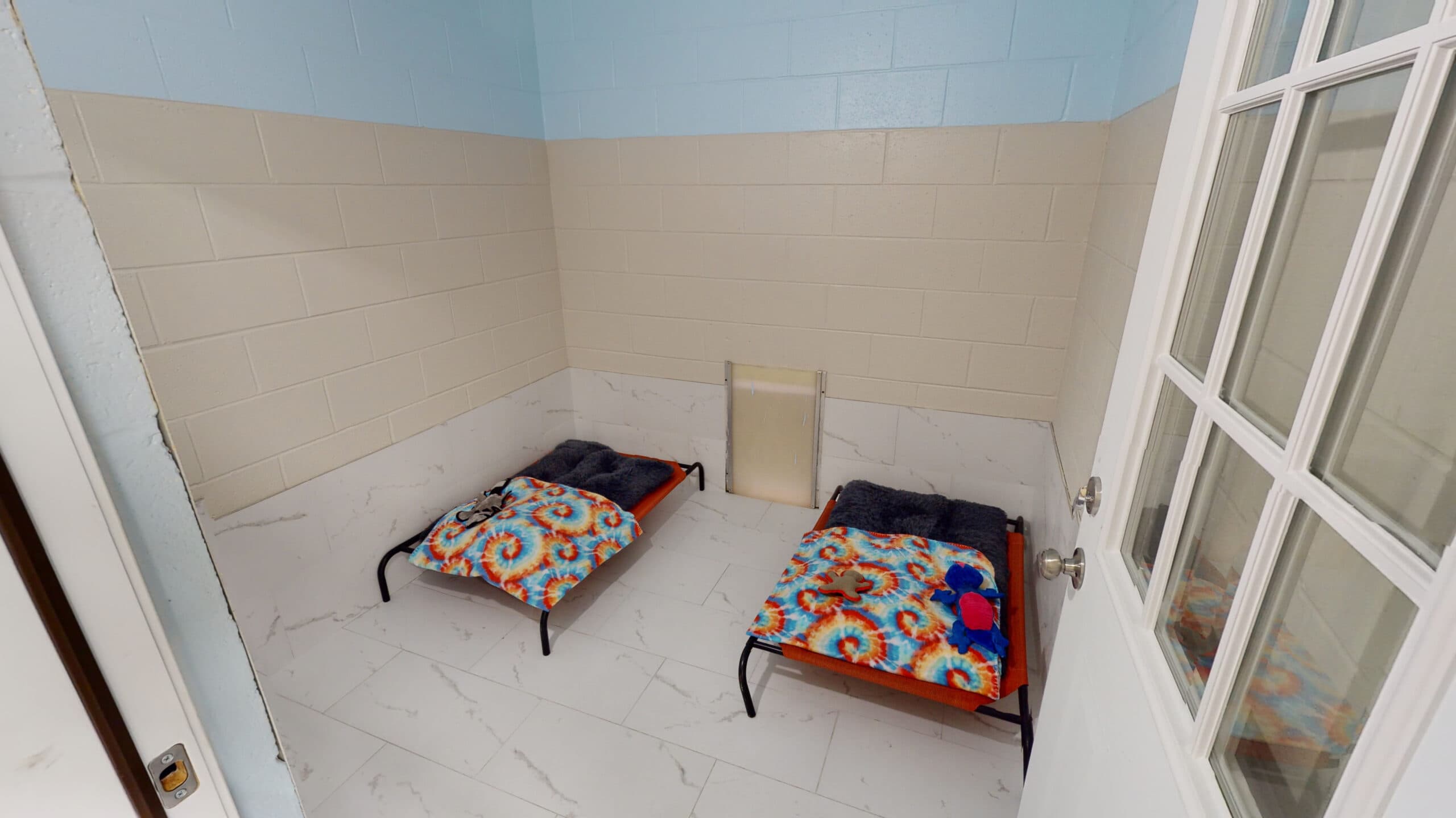 Spacious boarding suite at The Dog Academy