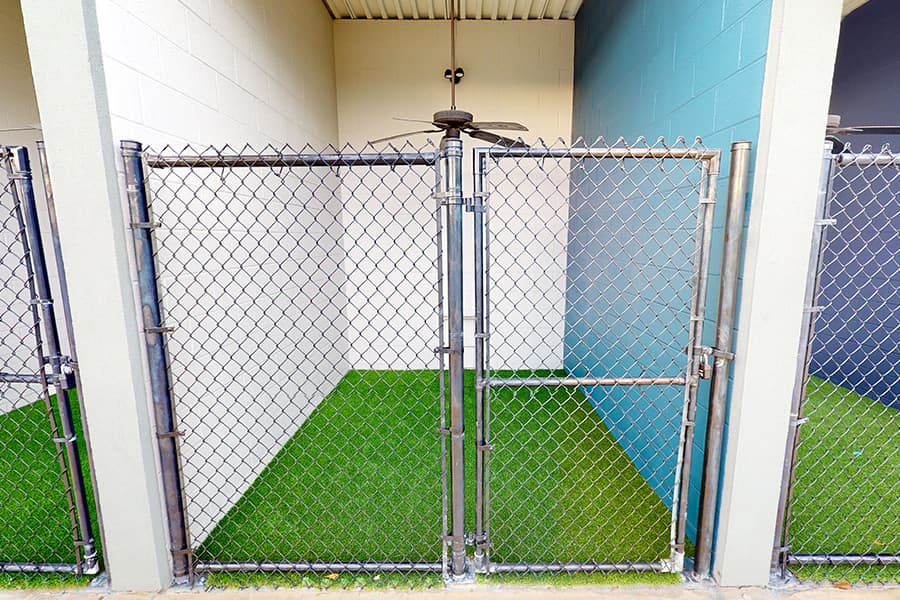 The Dog Academy campus